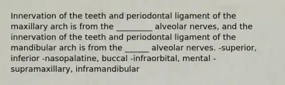 Innervation of the teeth and periodontal ligament of the maxillary arch is from the _________ alveolar nerves, and the innervation of the teeth and periodontal ligament of the mandibular arch is from the ______ alveolar nerves. -superior, inferior -nasopalatine, buccal -infraorbital, mental -supramaxillary, inframandibular