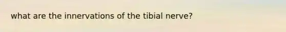 what are the innervations of the tibial nerve?