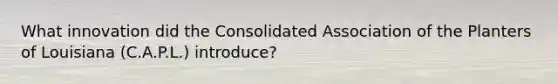 What innovation did the Consolidated Association of the Planters of Louisiana (C.A.P.L.) introduce?