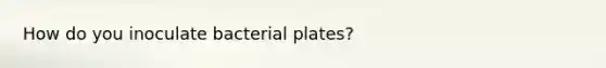 How do you inoculate bacterial plates?