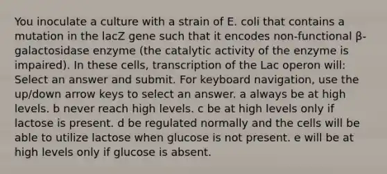 You inoculate a culture with a strain of E. coli that contains a mutation in the lacZ gene such that it encodes non-functional β-galactosidase enzyme (the catalytic activity of the enzyme is impaired). In these cells, transcription of the Lac operon will: Select an answer and submit. For keyboard navigation, use the up/down arrow keys to select an answer. a always be at high levels. b never reach high levels. c be at high levels only if lactose is present. d be regulated normally and the cells will be able to utilize lactose when glucose is not present. e will be at high levels only if glucose is absent.