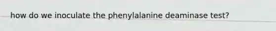 how do we inoculate the phenylalanine deaminase test?