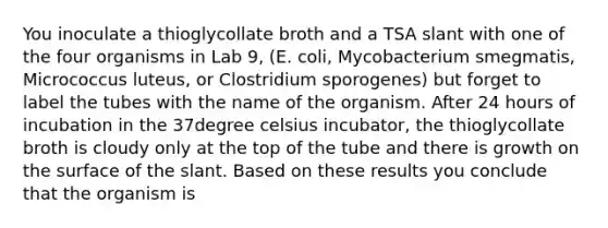 You inoculate a thioglycollate broth and a TSA slant with one of the four organisms in Lab 9, (E. coli, Mycobacterium smegmatis, Micrococcus luteus, or Clostridium sporogenes) but forget to label the tubes with the name of the organism. After 24 hours of incubation in the 37degree celsius incubator, the thioglycollate broth is cloudy only at the top of the tube and there is growth on the surface of the slant. Based on these results you conclude that the organism is