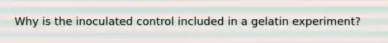 Why is the inoculated control included in a gelatin experiment?