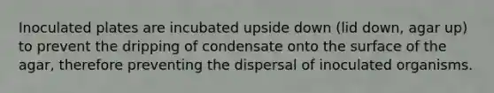 Inoculated plates are incubated upside down (lid down, agar up) to prevent the dripping of condensate onto the surface of the agar, therefore preventing the dispersal of inoculated organisms.