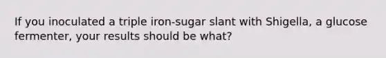 If you inoculated a triple iron-sugar slant with Shigella, a glucose fermenter, your results should be what?