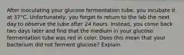 After inoculating your glucose fermentation tube, you incubate it at 37°C. Unfortunately, you forget to return to the lab the next day to observe the tube after 24 hours. Instead, you come back two days later and find that the medium in your glucose fermentation tube was red in color. Does this mean that your bacterium did not ferment glucose? Explain.