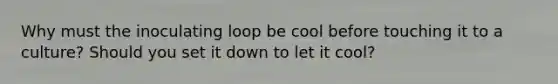 Why must the inoculating loop be cool before touching it to a culture? Should you set it down to let it cool?