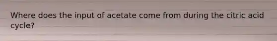 Where does the input of acetate come from during the citric acid cycle?
