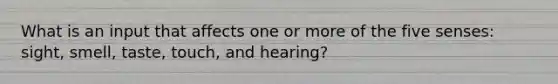 What is an input that affects one or more of the five senses: sight, smell, taste, touch, and hearing?