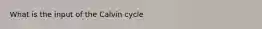 What is the input of the Calvin cycle