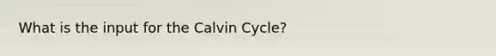 What is the input for the Calvin Cycle?