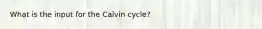 What is the input for the Calvin cycle?