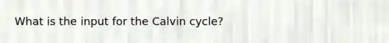 What is the input for the Calvin cycle?