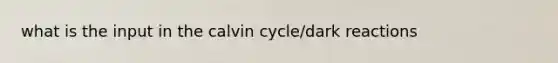 what is the input in the calvin cycle/dark reactions