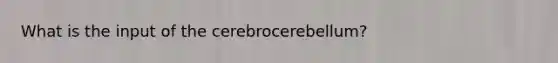 What is the input of the cerebrocerebellum?