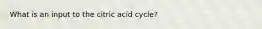 What is an input to the citric acid cycle?