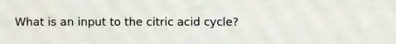 What is an input to the citric acid cycle?