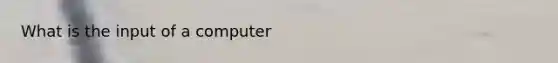 What is the input of a computer