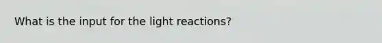 What is the input for the <a href='https://www.questionai.com/knowledge/kSUoWrrvoC-light-reactions' class='anchor-knowledge'>light reactions</a>?