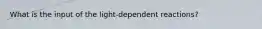 What is the input of the light-dependent reactions?