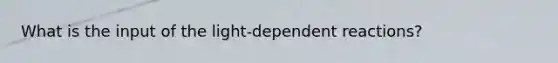 What is the input of the light-dependent reactions?