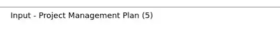 Input - Project Management Plan (5)