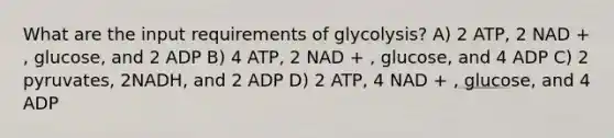 What are the input requirements of glycolysis? A) 2 ATP, 2 NAD + , glucose, and 2 ADP B) 4 ATP, 2 NAD + , glucose, and 4 ADP C) 2 pyruvates, 2NADH, and 2 ADP D) 2 ATP, 4 NAD + , glucose, and 4 ADP