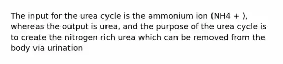 The input for the urea cycle is the ammonium ion (NH4 + ), whereas the output is urea, and the purpose of the urea cycle is to create the nitrogen rich urea which can be removed from the body via urination