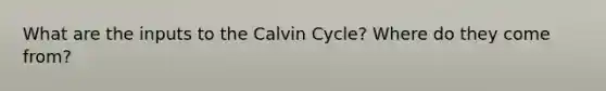 What are the inputs to the Calvin Cycle? Where do they come from?