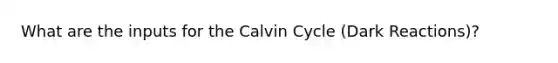 What are the inputs for the Calvin Cycle (Dark Reactions)?