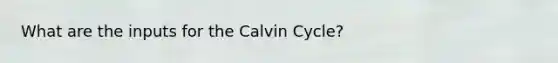 What are the inputs for the Calvin Cycle?