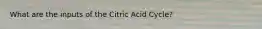 What are the inputs of the Citric Acid Cycle?