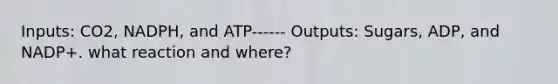 Inputs: CO2, NADPH, and ATP------ Outputs: Sugars, ADP, and NADP+. what reaction and where?