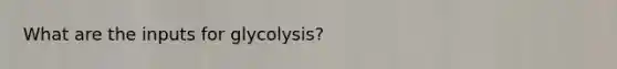 What are the inputs for glycolysis?