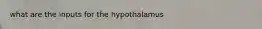 what are the inputs for the hypothalamus