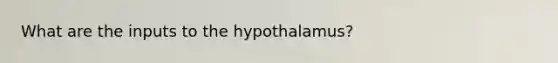 What are the inputs to the hypothalamus?