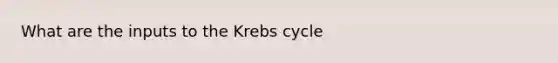 What are the inputs to the <a href='https://www.questionai.com/knowledge/kqfW58SNl2-krebs-cycle' class='anchor-knowledge'>krebs cycle</a>