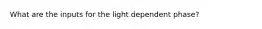 What are the inputs for the light dependent phase?