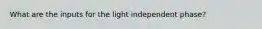 What are the inputs for the light independent phase?