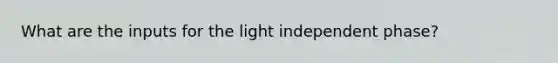 What are the inputs for the light independent phase?