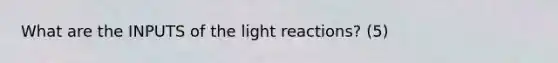 What are the INPUTS of the light reactions? (5)