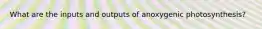 What are the inputs and outputs of anoxygenic photosynthesis?