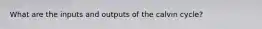 What are the inputs and outputs of the calvin cycle?