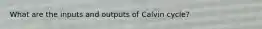 What are the inputs and outputs of Calvin cycle?