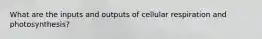 What are the inputs and outputs of cellular respiration and photosynthesis?