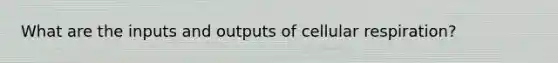 What are the inputs and outputs of cellular respiration?