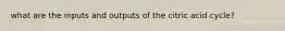 what are the inputs and outputs of the citric acid cycle?