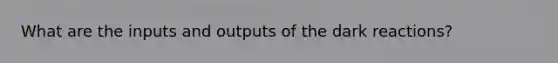 What are the inputs and outputs of the dark reactions?