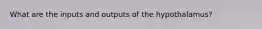 What are the inputs and outputs of the hypothalamus?